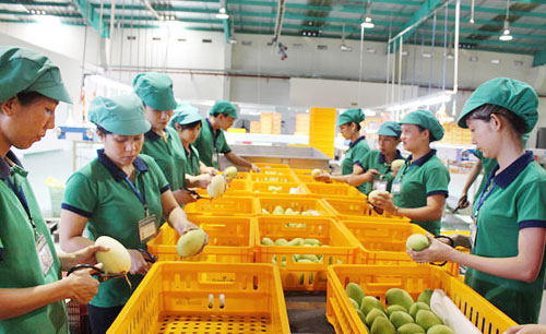 Diễn đàn xúc tiến xuất khẩu Việt Nam 2018